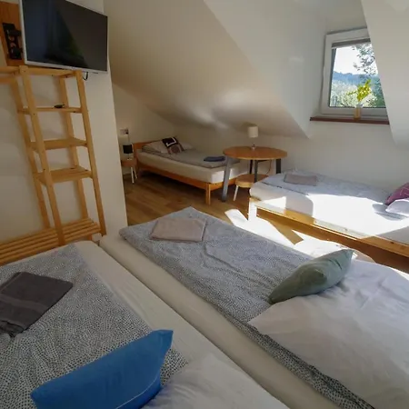Ferienhaus House - Czyrna *